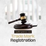 Registered Trademark Cost: What Businesses Should Budget For in 2026